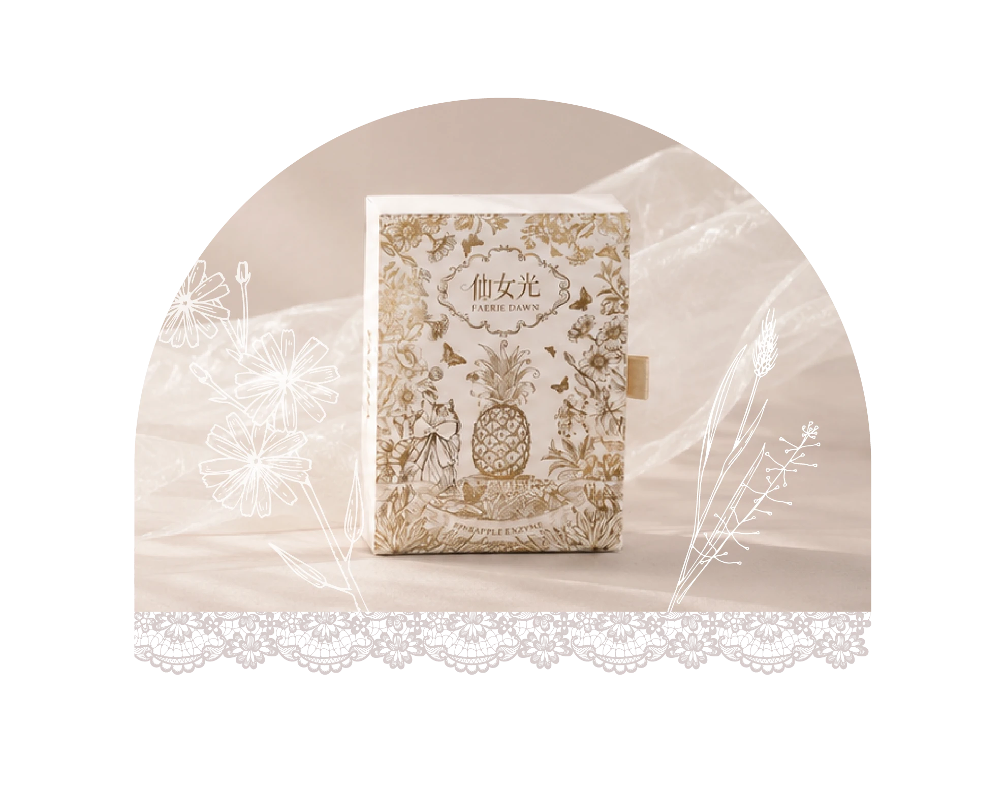 FAE仙女貓